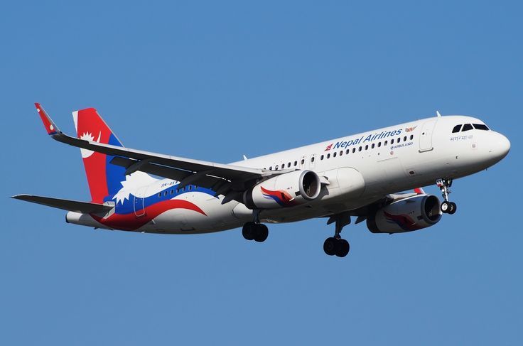 Domestic & International Ticketing